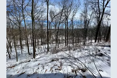 76 Monroe Rd, Lafayette, NJ 07848 - Photo 12