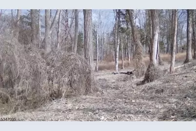 135 N Locust Lake Rd, Hope Township, NJ 07825 - Photo 1