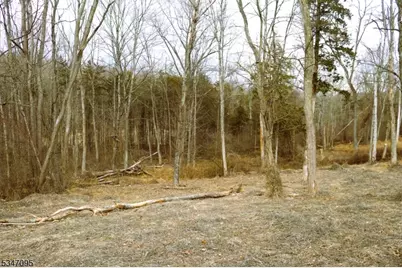 135 N Locust Lake Rd, Hope Township, NJ 07825 - Photo 14