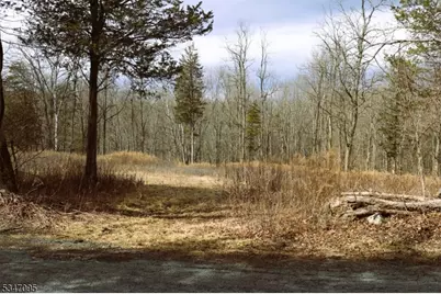 135 N Locust Lake Rd, Hope Township, NJ 07825 - Photo 6