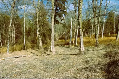 135 N Locust Lake Rd, Hope Township, NJ 07825 - Photo 10