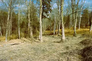 135 N Locust Lake Rd, Hope Township, NJ 07825 - Photo 10