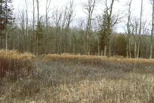 135 N Locust Lake Rd, Hope Township, NJ 07825 - Photo 4