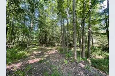 29 Elm Ave, Warren Township, NJ 07059 - Photo 6