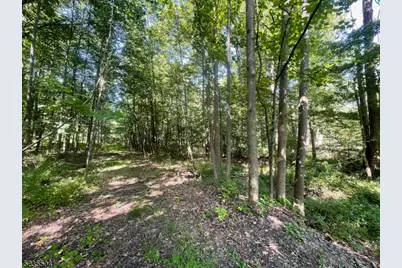 29 Elm Ave, Warren Township, NJ 07059 - Photo 16