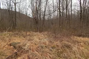 1646 1648 Route 565, Vernon, NJ 07461 - Photo 16