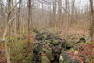 1646 1648 Route 565, Vernon, NJ 07461 - Photo 18