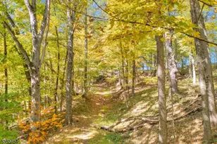 369 Stamets Rd, Holland Township, NJ 08848 - Photo 10