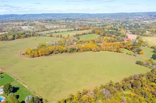 369 Stamets Rd, Holland Township, NJ 08848 - Photo 8