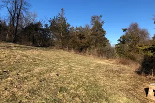 59 Newton Ave, Frankford Township, NJ 07826 - Photo 10