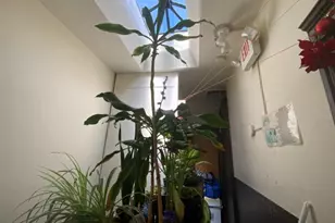 6314 Bway143-64th St, West New York, NJ 07093 - Photo 4