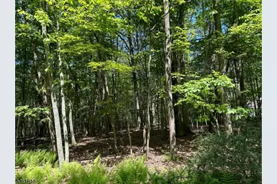 00 Devita Rd, Sandyston Township, NJ 07826 - Photo 2