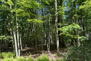 00 Devita Rd, Sandyston Township, NJ 07826 - Photo 2