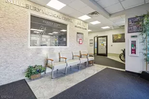 25 E Willow St, Millburn, NJ 07041 - Photo 1