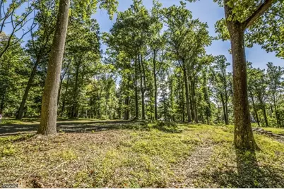 149 Overleigh Rd, Bernardsville, NJ 07924 - Photo 6