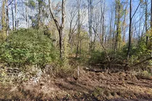 76 South St, Frelinghuysen Township, NJ 07821 - Photo 1