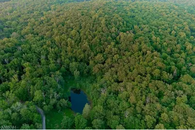 5 Meadow Cliff Ln, Hardwick Township, NJ 07825 - Photo 12