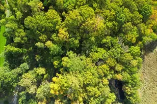 685 Shunpike Rd, Chatham Township, NJ 07935 - Photo 36