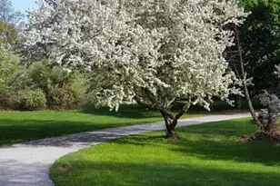 208 Willows Rd, Fredon Township, NJ 07860 - Photo 48