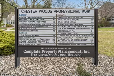 385 State Route 24, Chester, NJ 07930 - Photo 20