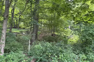 300 Alphano Rd, Allamuchy Township, NJ 07840 - Photo 1