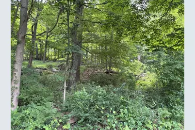 300 Alphano Road, Allamuchy Township, NJ 07840 - Photo 4