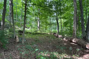 300 Alphano Rd, Allamuchy Township, NJ 07840 - Photo 1