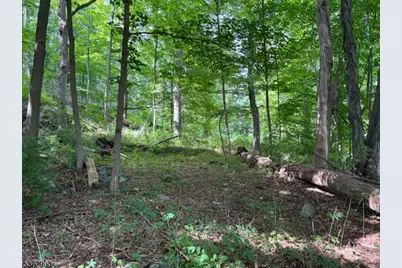 300 Alphano Road, Allamuchy Township, NJ 07840 - Photo 4