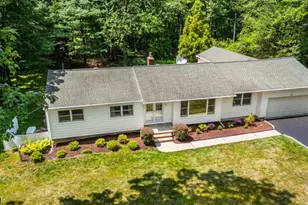 10 Campo Rd, Randolph Township, NJ 07869 - Photo 48