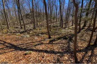 68 Magee Rd, Ringwood, NJ 07456 - Photo 16