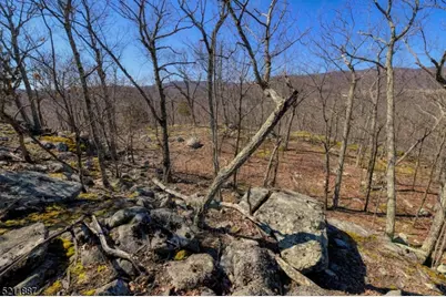 68 Magee Rd, Ringwood, NJ 07456 - Photo 6