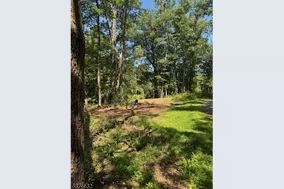 525 Stanton Station Rd, Readington, NJ 08822 - Photo 8