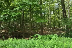 54 Northwood Rd, Hopatcong, NJ 07849 - Photo 1