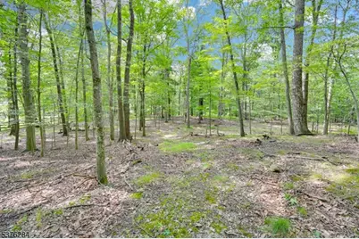 51 Paulinskill Lake Rd, Fredon Township, NJ 07860 - Photo 4