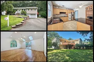 3 Nokomis Ave, Rockaway Township, NJ 07866 - Photo 1