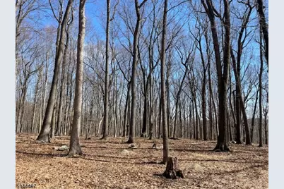 5 Calais Rd, Mendham Township, NJ 07945 - Photo 8