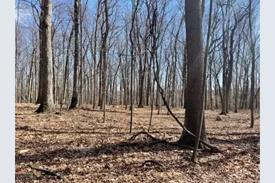 5 Calais Rd, Mendham Township, NJ 07945 - Photo 10