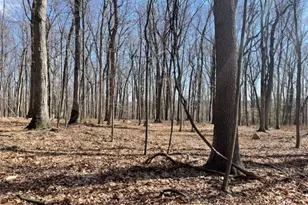 5 Calais Rd, Mendham Township, NJ 07945 - Photo 10