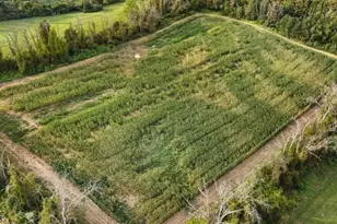 341 Mt Hermon Rd, Hope Township, NJ 07825 - Photo 8