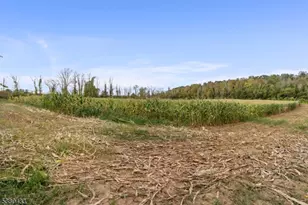 341 Mt Hermon Rd, Hope Township, NJ 07825 - Photo 14