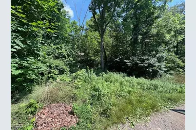 9 Old Woodland Trl, Jefferson Township, NJ 07438 - Photo 10