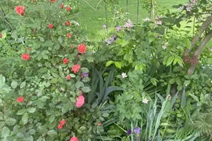 747 Linden Ave Apt, Rahway, NJ 07065 - Photo 12