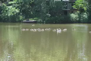 45 Lakeside Dr 2nd Floor, Piscataway Township, NJ 08854 - Photo 2