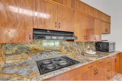 41 Cherryville Hollow Rd, Raritan Township, NJ 08822 - Photo 24