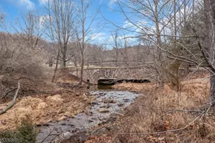 41 Cherryville Hollow Rd, Raritan Township, NJ 08822 - Photo 44