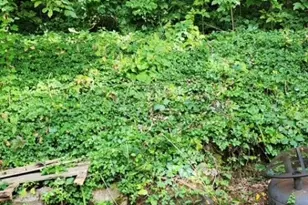 48 E Shore Dr, Vernon, NJ 07462 - Photo 6