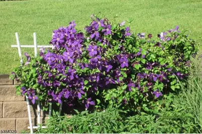 37 Gregory Ave, West Orange Township, NJ 07052 - Photo 48