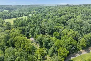 12 Dove Hollow Ln, Bethlehem Township, NJ 08827 - Photo 8