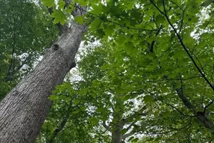 86 Chestnut St, Morristown, NJ 07960 - Photo 2