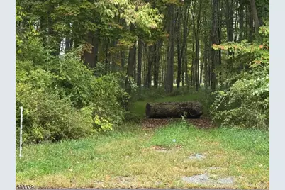 000 S 4Bridges Rd, Washington Township, NJ 07930 - Photo 2